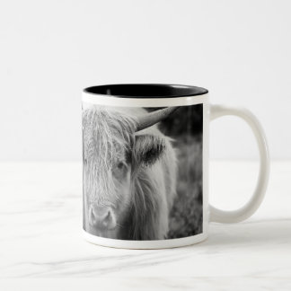 2 Couleurs Tasse de roucoulement de Heilan