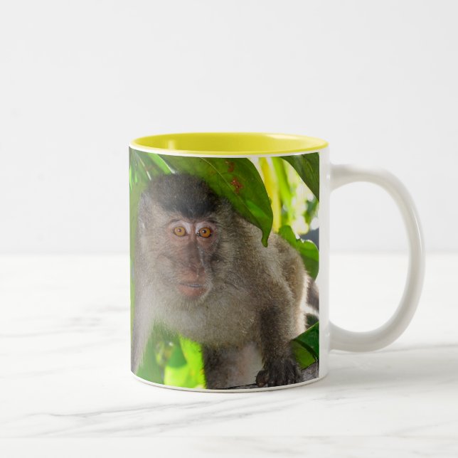 2 Couleurs Tasse de singes de Macaque (Droit)