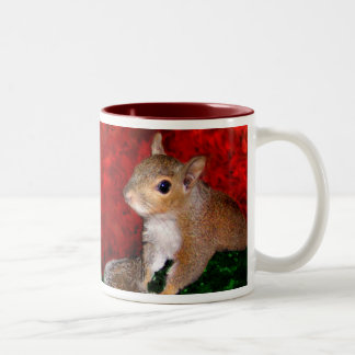 2 Couleurs Tasse d'écureuil