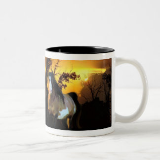 2 Couleurs Tasse d'étalon de coucher du soleil