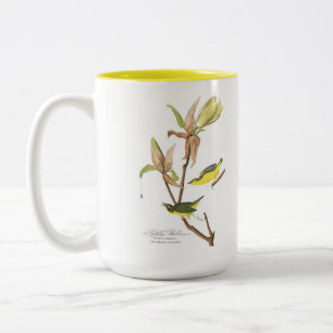 2 Couleurs Tasse d'oiseau d'Audubon, fauvette du Kentucky, 15