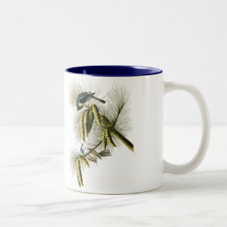 2 Couleurs Tasse d'oiseau d'Audubon, mésange tuftée, 15 onces