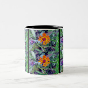 2 Couleurs Tasse du Hawkweed orange 1