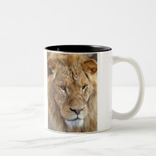 2 Couleurs Tasse du lion de Bubba.