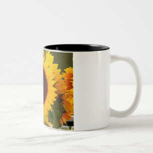 2 Couleurs Tasse ensoleillée de matin