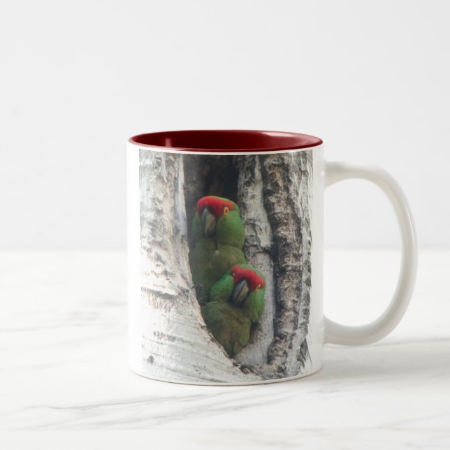 2 Couleurs tasse Épais-affichée de perroquet, droit-manipulée (Droit)
