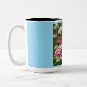 2 Couleurs Tasse Équilibre Harmonieux