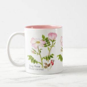 2 Couleurs Tasse florale classique - rose de chien