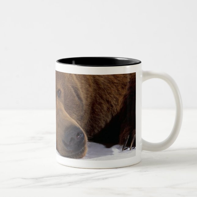 2 Couleurs Tasse grisonnante d'ours (Droit)
