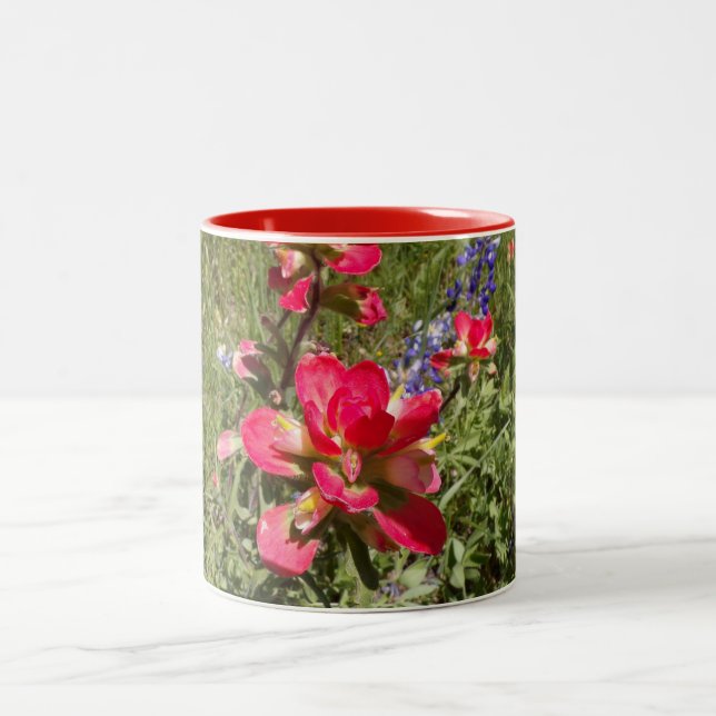 2 Couleurs Tasse Indian Paintbrush (Centre)