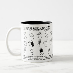 2 Couleurs Tasse intéressante de lamantins