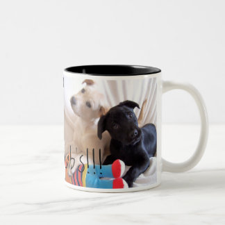 2 Couleurs Tasse loyale douce de laboratoires