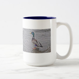 2 Couleurs Tasse lustige Ente : amusez-vous