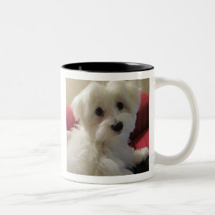 2 Couleurs Tasse maltaise - facile à personnaliser !