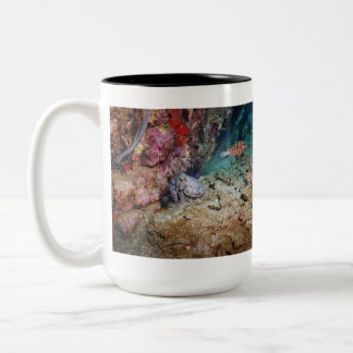 2 Couleurs Tasse Octo