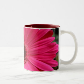2 Couleurs Tasse rose de marguerite de Gerbera