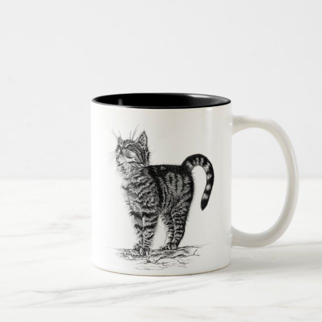 2 Couleurs Tasse tigrée de chaton (Droit)