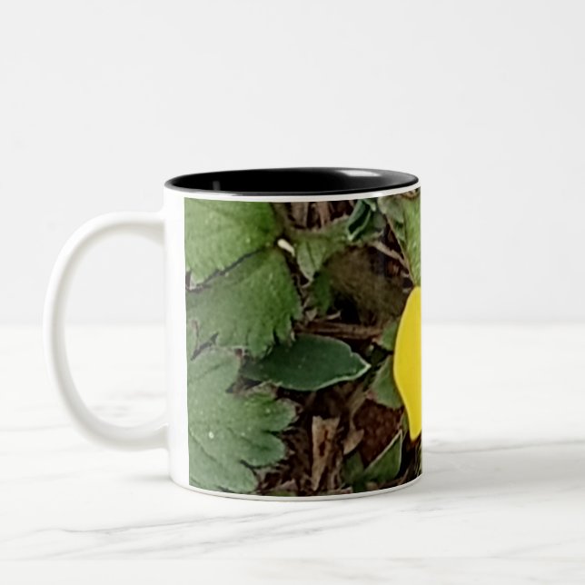2 Couleurs Tasse Tulipe Jaune (Gauche)