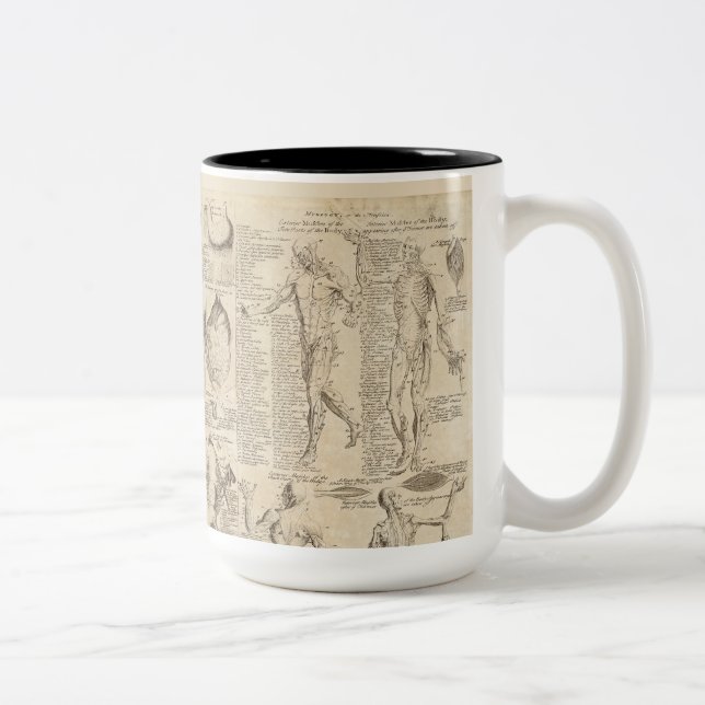 2 Couleurs Tasse vintage d'anatomie humaine  (Droit)