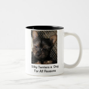 2 Couleurs Terriers soyeux un chien pour toute la tasse de