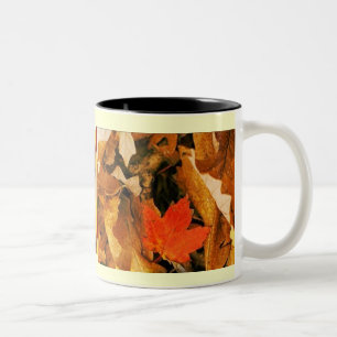 2 Couleurs Tombez dans la tasse de feuille d'automne