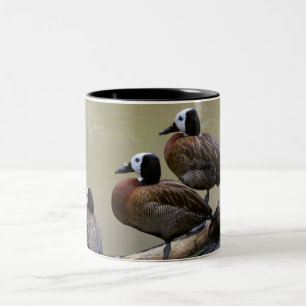 2 Couleurs Trois canards sur une tasse de rondin