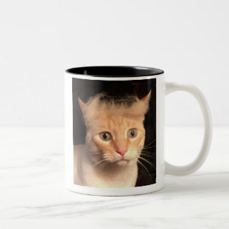 2 Couleurs Trump votre tasse de chat