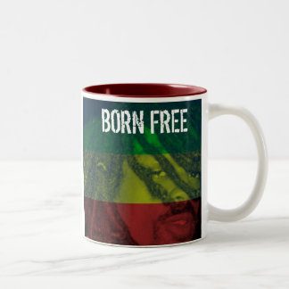 2 Couleurs WR1 Rasta colore la tasse