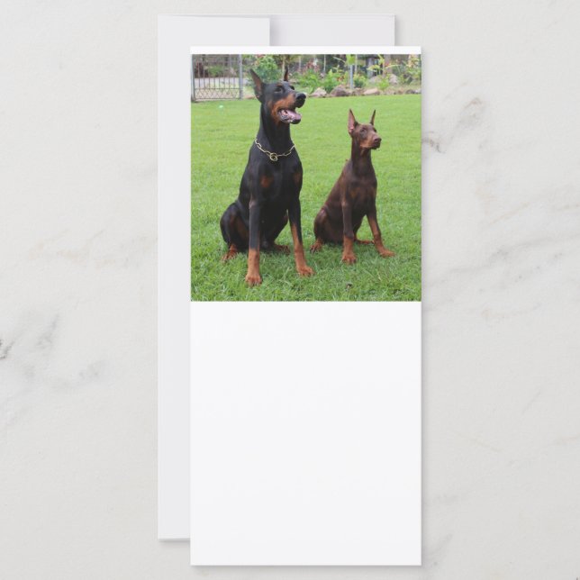 2 dobies (Devant)