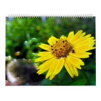 2 page, grand calendrier blanc