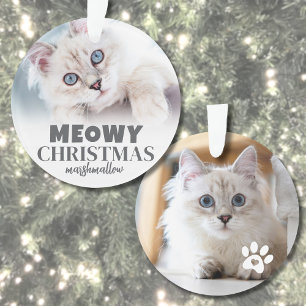 2 Photo Meowy Noël Chat