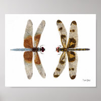 2 Poster d'Art Dragonflies