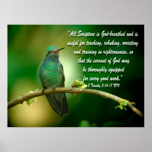 2 Timothy 3:16-17 Poster chrétien Colibri