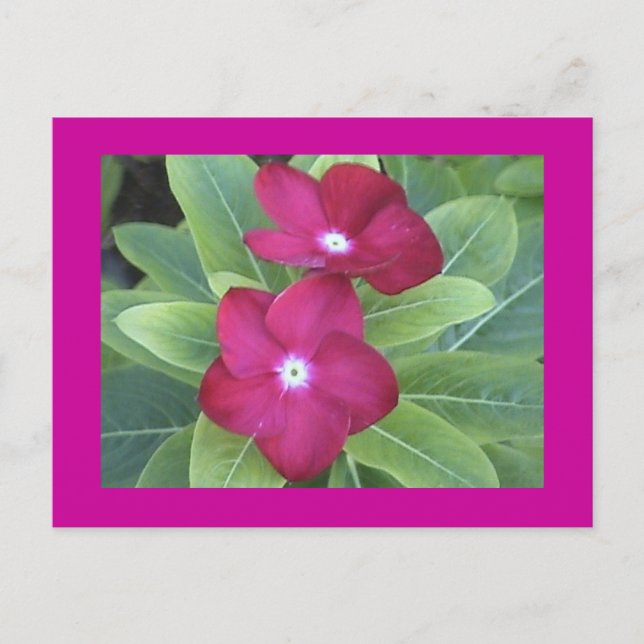 2e carte postale (Devant)