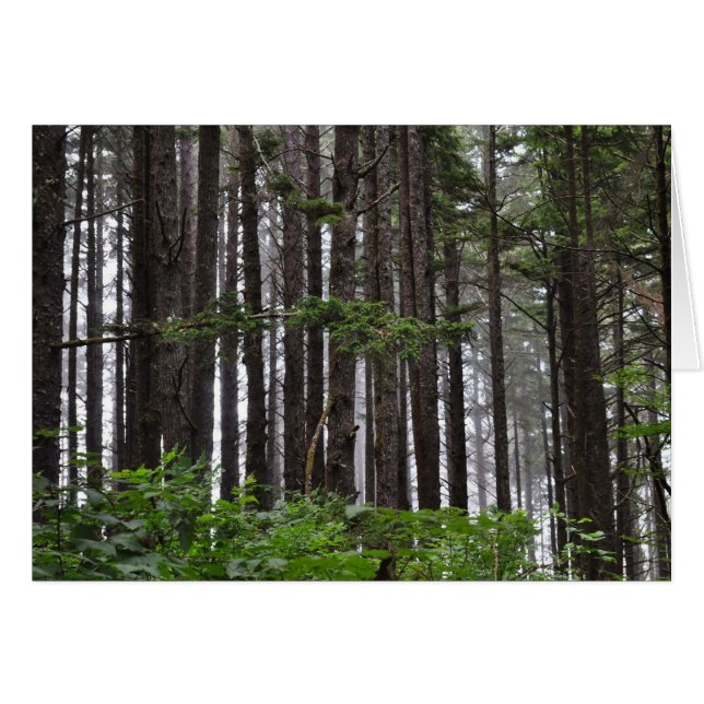 2e plage à La Push, WA (Devant horizontal)