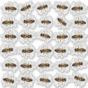 30 Stickers Lid de pot de miel grandeur nature