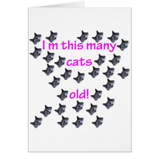 30 têtes de chat vieilles