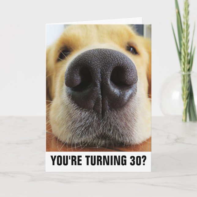 30E ANNIVERSAIRE FUNNY CHIEN CARTES DE RECONNAISSA (Devant)