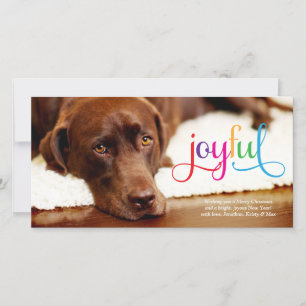 311 Colorful Joyful Pet Carte de Noël