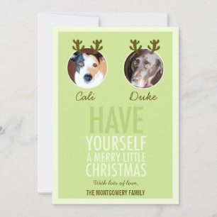 311 Moss Green Pet Antler Carte photo de vacances