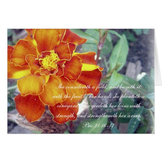 31:16 de ~ de collection des proverbes 31 pro - 17 (Devant horizontal)