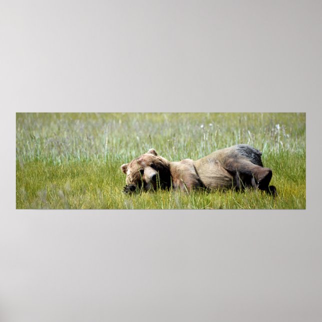 36x12 Poster Paper (Matte) de grizzli (Devant)