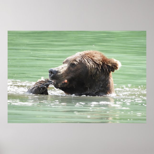 36x24 Poster Paper (Matte) de grizzli (Devant)
