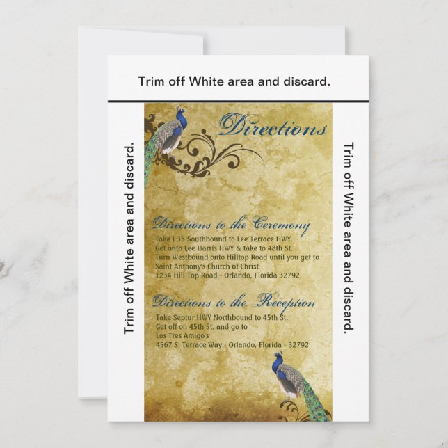 3.5x6 Directions Cartes Peacock Vintage Feathers B (Devant)
