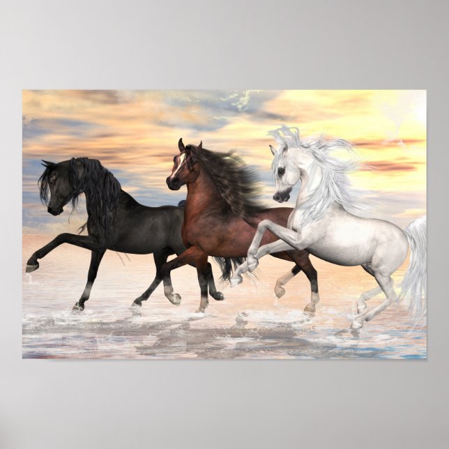 3 Arabians Value Poster Paper (Matte) (Devant)