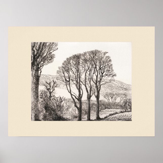 3 Arbres Impression de Cornouailles, Réimpression  (Devant)