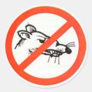 3" aucun autocollant de rat