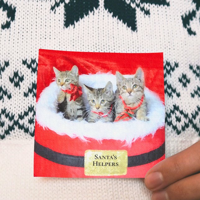 3 Cute Kittens Père Noël Petit Helpers (Créateur téléchargé)