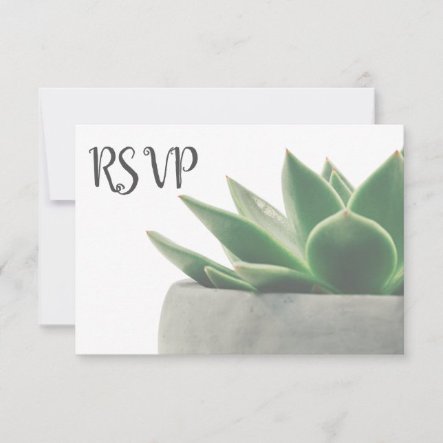 3 Entree Choice Moderne Vert Succulent RSVP (Devant)