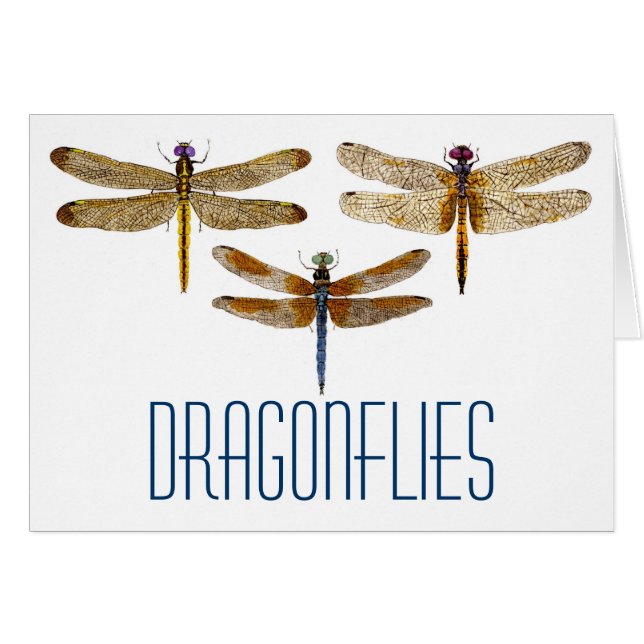 3 libellules (Devant Horizontal)